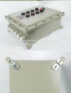 Explosion-proof Distribution Box Customized Explosion-proof Control Box Wiring Meter Box Power Lighting Distribution Cabinet thumbnail-2