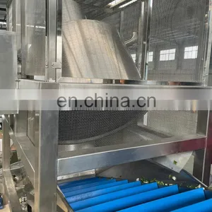 SS304 /316 Fully Automatic Good Quality Fruit Vegetable Washing Machine thumbnail-3