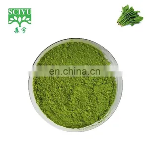 Factory Supply Wholesale Price Natural Organic Spinach Extract Beta Ecdysterone thumbnail-3