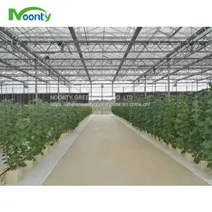 Farm Hydroponics thumbnail-4