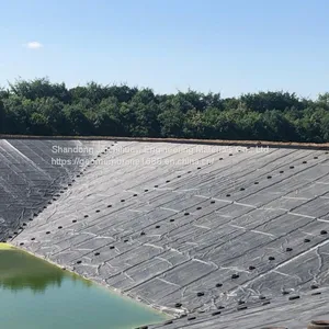 8m Wide 1.0mm Thick HDPE Geomembrane Pond Liner thumbnail-1