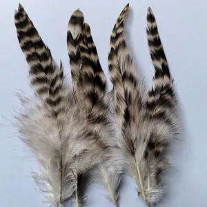 Rooster/coque/cock Tail Feather Chinchilla for Wholesale From China thumbnail-2