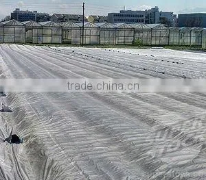 PP Agriculture Non-woven Crop Cover Factory thumbnail-2