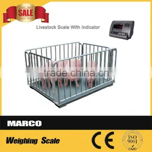 2.5Ton Digital Pet Scale thumbnail-4