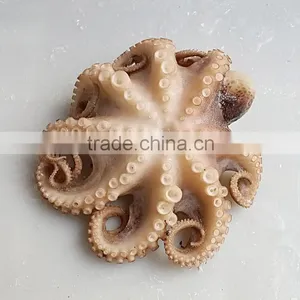 Frozen Baby Octopus Good Manufacturer thumbnail-3