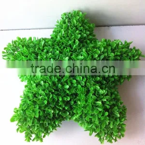 High Emultion Green Decorative Artificial Star Shaped Potted Bosai thumbnail-2