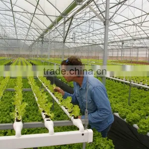 Vegetable Greenhouse Hydroponic Systems thumbnail-5