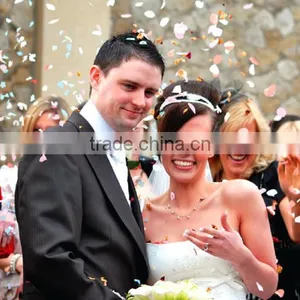 1200W Stage Equipment Color Paper Big Confetti Blower Machine With Flight Case thumbnail-6
