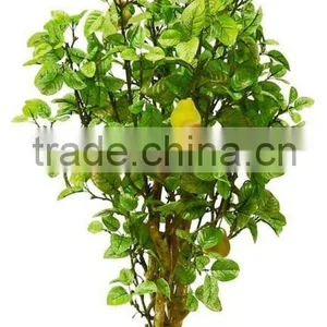 Artificial Pear Tree-Fake Tree thumbnail-1
