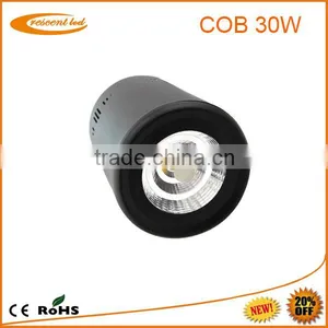 High Power Smd/cob Led Ceiling Light/ Cob Led Downlight 30w thumbnail-2