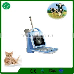 Cheap Veterinary Ultrasound Scanner Manufacture KX5600 thumbnail-1