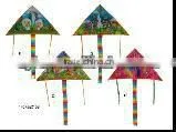 Kites thumbnail-1
