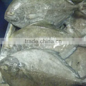 Frozen Fish / Crabs / Shrimps / Clams and Dried Fish Skin & Bones thumbnail-1