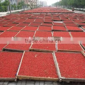 Dried Chinese Red Gojiberry thumbnail-6