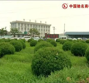 Hebei Jianzhi Casting Group Ltd. company overview - view 3 thumbnail