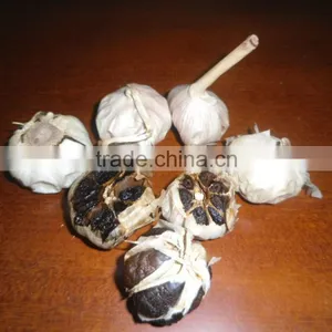 BLACK GARLIC (website: Davis.thong) thumbnail-1