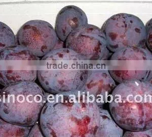 Hot Sale Black Plum thumbnail-1