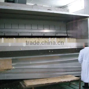 Apple Drying Equipment thumbnail-1