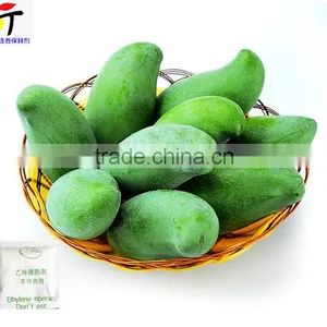 Factory Direct Price the Good Quality Mango Ripener Ethylene 20016 Hot Sale Very Salable thumbnail-3