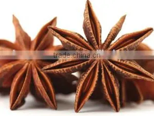 MANUFACTURER OF SPRING STAR ANISE thumbnail-1