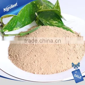 China Natural Source Humic Amino Acid for High Grade thumbnail-1