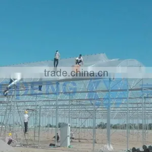 Greenhouse Covering Film thumbnail-3