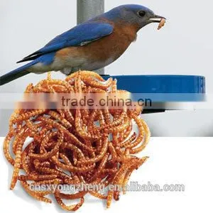 Dried Mealworms,Birds Food & Aquarium Fish Food thumbnail-2