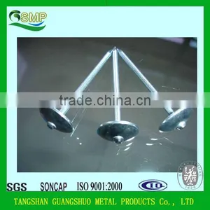 Manufacturing Common Wire Nails Roofing Nails Galvanized thumbnail-1