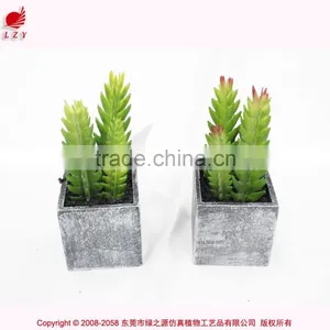 Artificial Succulent Combination Mini Succulent Potted High Quality Mini Artificial Catus thumbnail-3