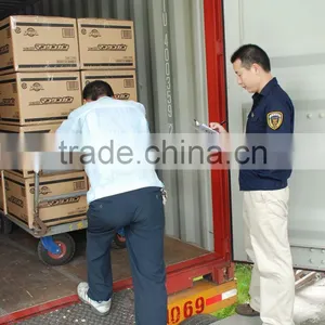 Production Quality Control Inspection Service thumbnail-2