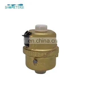 DN20 Volumetric Rotary Piston Water Meter Used in County Public Clean Water Supply thumbnail-3