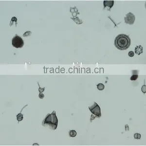 High Quality Zoology Slides ,high Quality Animal Slides thumbnail-3