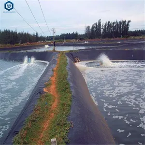 BPM GEOSYNTHETICS HDPE Geomembrane thumbnail-3