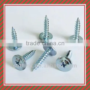 Self Tapping Screws,stainless Steel Tapping Screw(hot Sale) thumbnail-1