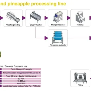 25T/H Automatic Pineapple Production Line thumbnail-4