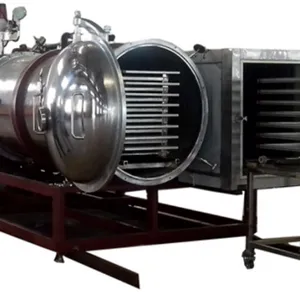 Industrial Freeze Dryer for Fruit and Vegetable on Sale Freeze-dried Mangoes Freeze-dried Raspberries Production Line thumbnail-5