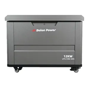 12KW Dual Cylinder Multi-fuel Silent Generator Gasoline Natural Gas CNG LNG LPG Methane Propane Standby Power Unit thumbnail-1