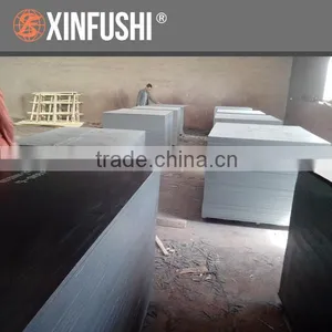 Formwork Plywood for Australia Market thumbnail-3