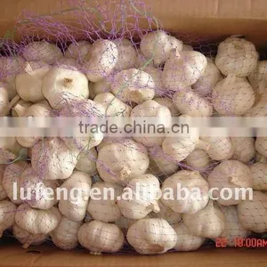 China Cheap Garlic thumbnail-1