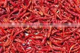 Chillies thumbnail-1