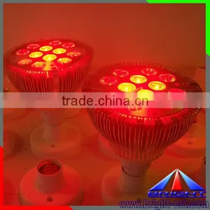 12W LED Par38 Light With RGB Controller thumbnail-1