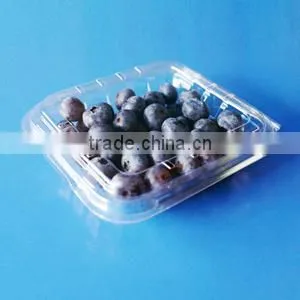 PET Vented Holes Plastic Clear Disposable Plastic Blueberry Punnet thumbnail-2