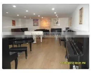 Shanghai Artmann Piano Co., Ltd. company overview - view 3 thumbnail