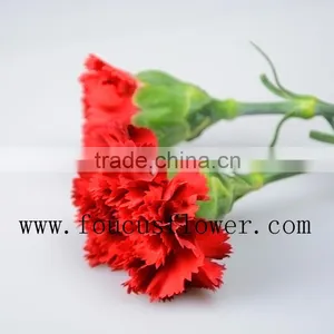 Different Colors Wedding Flower Red Carnation Flower Flower Bouquets thumbnail-2
