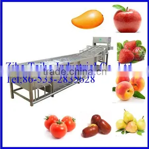 Stainless Steel Automatic Mango Washing Machine thumbnail-1