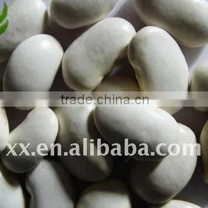 2011 New Crop White Kidney Bean Market Price thumbnail-1