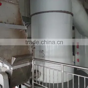 Manganese Sulfate Spin Flash Dryer thumbnail-5