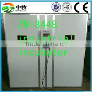 High Quality Multifunctional Egg Incubator for Sale thumbnail-1