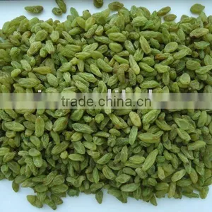 Chinese Green Raisin thumbnail-1