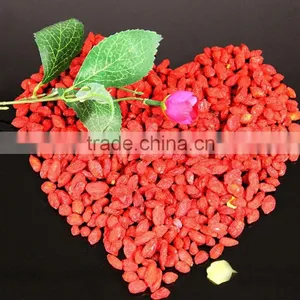 Conventional Ningxia Goji Berry thumbnail-1